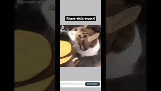 Borgar meme latetrend funny memecat viral fypシ゚viral silly cheeseburger cat ibispaintx as [upl. by Ikuy]