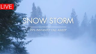 Snow Storm In Forest  247  Winter Storm amp Howling Wind Sounds For Sleeping [upl. by Nailij26]