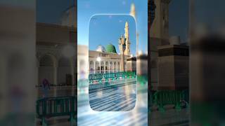 Eid milad un Nabi naat 2024 Sarkar a gaye hai shortvideo 12visharifstatus eidmiladunnabinaat [upl. by Anaehs]