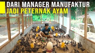 Tinggalkan Posisi Manajer dan Memilih Jadi Peternak Ayam Di Kampung [upl. by Nlyak]