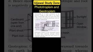 Phototropism and Geotropism ujjawalstudyzone motivation cbse [upl. by Loring]