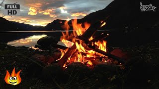 Lakeside Campfire with Relaxing Nature Night Sounds HD [upl. by Yleoj]