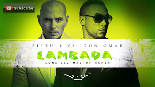 Lambada  Pitbull vs Don Omar Lonelez Remix [upl. by Mccourt]