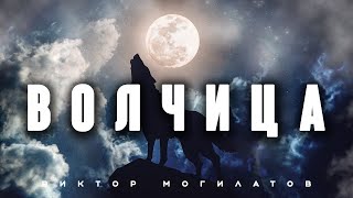 ВОЛЧИЦА  Новинка 2023  Виктор Могилатов [upl. by Lengel]