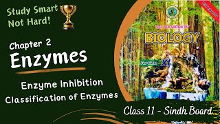 Enzyme Inhibition  Classification of Enzymes  Chapter 2  Sindh Board  Class 11  Biology [upl. by Wiese819]