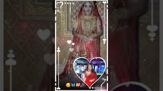 Roshni Walia Faisal Khan ka love story💖stri2 movie song stri2shorts maharanaprata FaisalKhan30 [upl. by Nedlog402]