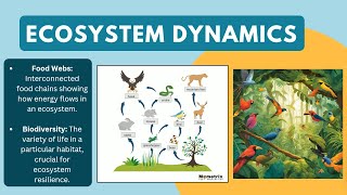 Why Physical Geography Matters [upl. by Acim]