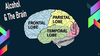 Alcohol and The Teenage Brain [upl. by Arac]