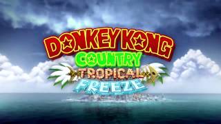 Level 26 Wing Ding Outside  Donkey Kong Country Tropical Freeze  Music [upl. by Eenar]