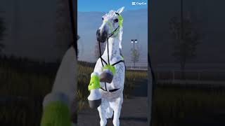 My new flea bitten horse what should I name her she’s a mare btw horse roblox shorts [upl. by Kissee313]