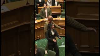 Parliament suspended as Māori MPs perform Haka joined by public gallery teaowithmoana4758 ​⁠ [upl. by Emerick112]