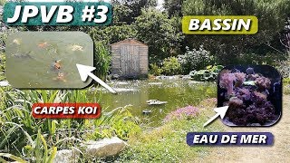 Visite abonné  Bassin amp Récif JIRAI PRÉSENTER VOS BACS 3 Aquariophilie by Aquazen [upl. by Alliuqal]