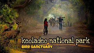 Bharatpur bird sanctuary  keoladeo national park  rajasthan  wildlife filmmaking [upl. by Yelkcub]