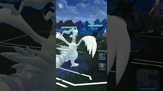 Zekrom vs rashiram pokemongo [upl. by Acinet660]