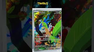 Tropius from Paldea Evolved tropius pokemon ポケカ [upl. by Anaeed]