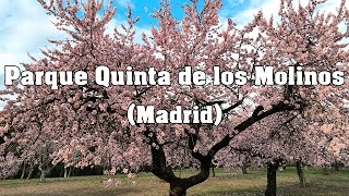 Parque Quinta de los Molinos Madrid  4K  UHD [upl. by Kassity]