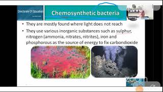 Class 11 Chemosynthetic Bacteria [upl. by Auhesoj472]