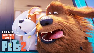 The Secret Life of Pets 2  Max and Duke Go on a Road Trip [upl. by Flavio]