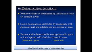 Liver Function Tests [upl. by Cerallua483]