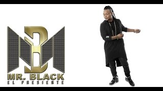 Una Voz de Aliento Audio  Mr Black El Presidente ® 2013 [upl. by Hastie243]