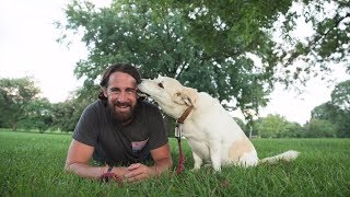 A Veteran Shares How a Stray Dog Changed His Life [upl. by Artemed]