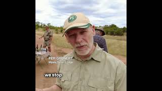 ATV Game drive at Mpala Safari Lodge [upl. by Spatz]