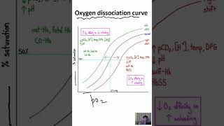 Oxygen dissociation curve factors affecting Oxygen dissociation curve [upl. by Farrar]