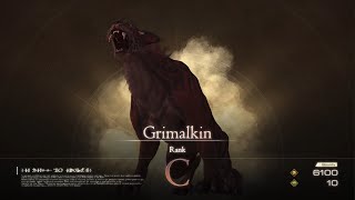 FINAL FANTASY XVI Hunts  Rank C Grimalkin The Cattery Dhalmekia [upl. by Ahsek]