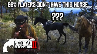 You havent rode this rare horse yet in RDR2 [upl. by Ahtekal]