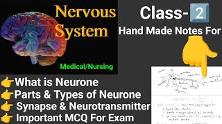 Neuron Synapse neurotransmitter Nerve system CNS PNS ANS online classes [upl. by Kemme]