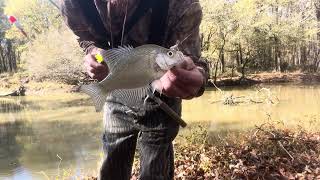 Late Fall Creek fishing for Crappie [upl. by Ecirtak]