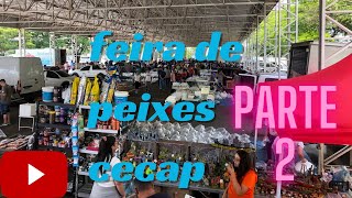 Feira de peixes do cecap pt2 [upl. by Kuehn119]