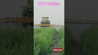 Spraying insecticide our red gram farm కందిపప్పు  🌱dgpsshare likesubscribe [upl. by Fredek]