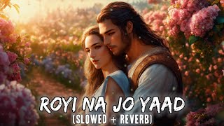 Royi Na Jo Yaad Meri Aayi Ve Slowed amp Reverb  LOFI 2112  USE HEADPHONES [upl. by Vorfeld154]