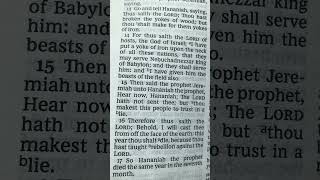 HANANIAH THE LORD HATH NOT SENT THEE 📖 JEREMIAH IN THE HOLY WORD 📜 [upl. by Thorpe506]