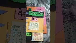 project on Andaman and Nicobar Island in Hindi [upl. by Dachia]