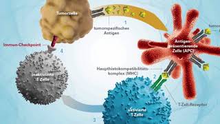 Immuntherapie – Die neusten Entwicklungen  Hirslanden Klinik Aarau [upl. by Lavoie355]