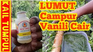 UMPAN LUMUT Campur VANILLI Cair Di Jamin Gak Berani Pulang [upl. by Bast448]