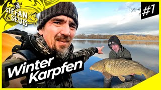 Winter Karpfen  Ohne BOOT und Schnickschnack  Karpfenangeln am Baggersee Folge 1 [upl. by Murdocca742]