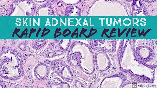 Skin Adnexal Tumors Dermpath Board Review for Dermatology Pathology amp Dermpath [upl. by Ally]