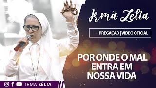 Ir Zélia  Por onde o mal entra em nossa vida [upl. by Nord]