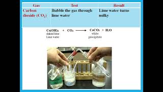 Tests for Gases and Flame Tests for metal ions  IGCSE Chemistry  Dr Hanaa Assil [upl. by Yrebmik]