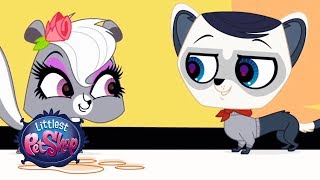 Littlest Pet Shop Season 2  Peppers Second Chance with Mr Cuddles Official Clip [upl. by Loseff587]