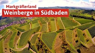 Die Weinberge in Südbaden  am Kaiserstuhl und im Markgräflerland [upl. by Sherman958]