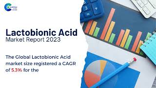 Lactobionic Acid Market Report 2024 Global Edition [upl. by Lucilia]