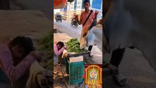 Helping help cow animalscomedy comedyfilms funny comedymovies tamil tamilcomedy motivation [upl. by Tapes157]