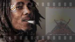 Bob Marley and The Wailers Dub Sessions  Reggae Masters [upl. by Amersham632]