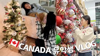 🇨🇦캐나다 유학생 vlog│캐나다에서 첫 크리스마스 미리 준비하기 월마트에서 트리 사서 꾸미고 쌀국수도 먹고 🎄🎅🎁│헬로음이유니 [upl. by Rawdon48]