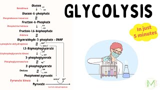 Glycolysis  Made easy in just 5 min  Biochemistry  Medinare [upl. by Laenej]