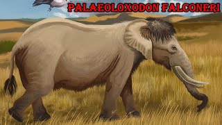 palaeoloxodon falconeri [upl. by Greerson]